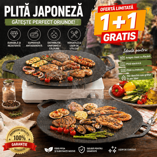 1+1 GRATIS: Plita tip disc pentru gratar si aragaz