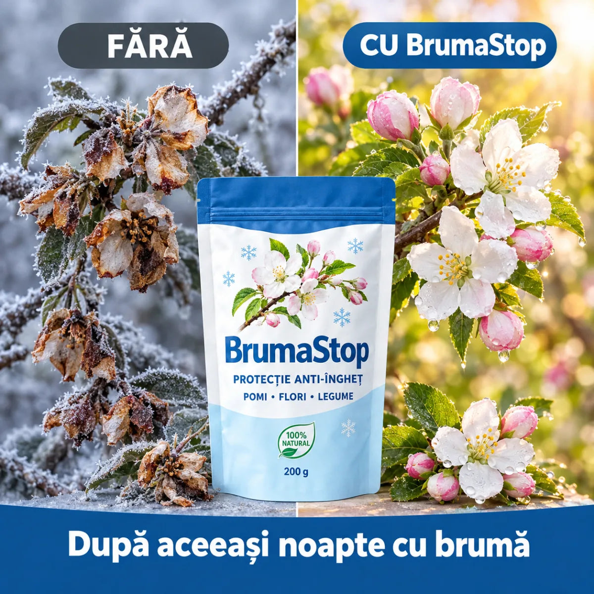 BrumaStop — Protecție Naturală Anti-Îngheț pentru Pomi, Flori și Legume | 200 g