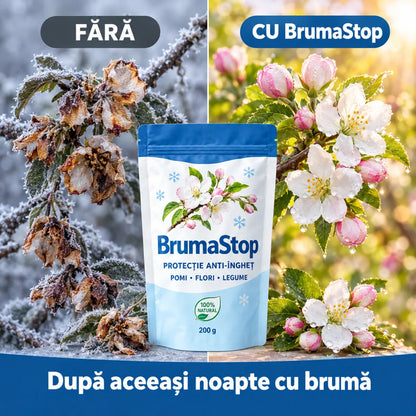 BrumaStop — Protecție Naturală Anti-Îngheț pentru Pomi, Flori și Legume | 200 g