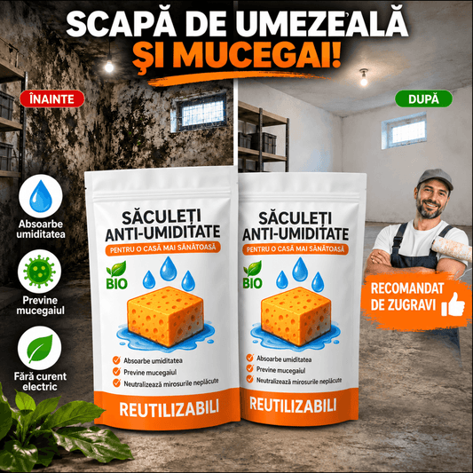 Soluție Anti-Umezeală și Mirosuri